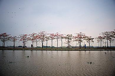 《全面战争：法老》深入了解赫梯派系 10月11日发售